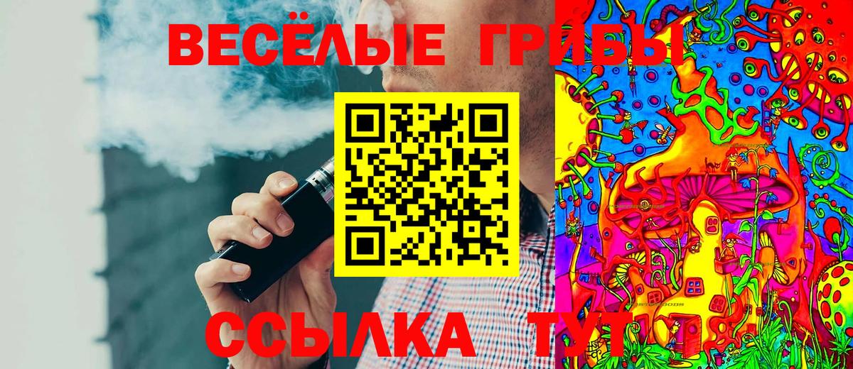 Богородицк  Псилоцибиновые грибы Magic Shrooms  Вход с VPN 