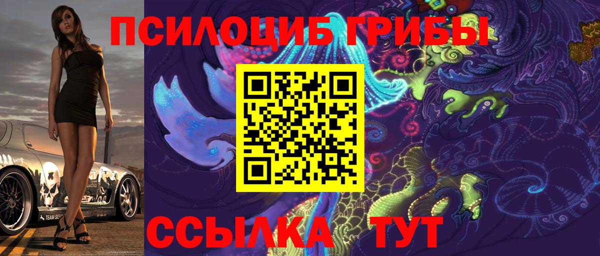 Галлюциногенные грибы мицелий Богородицк