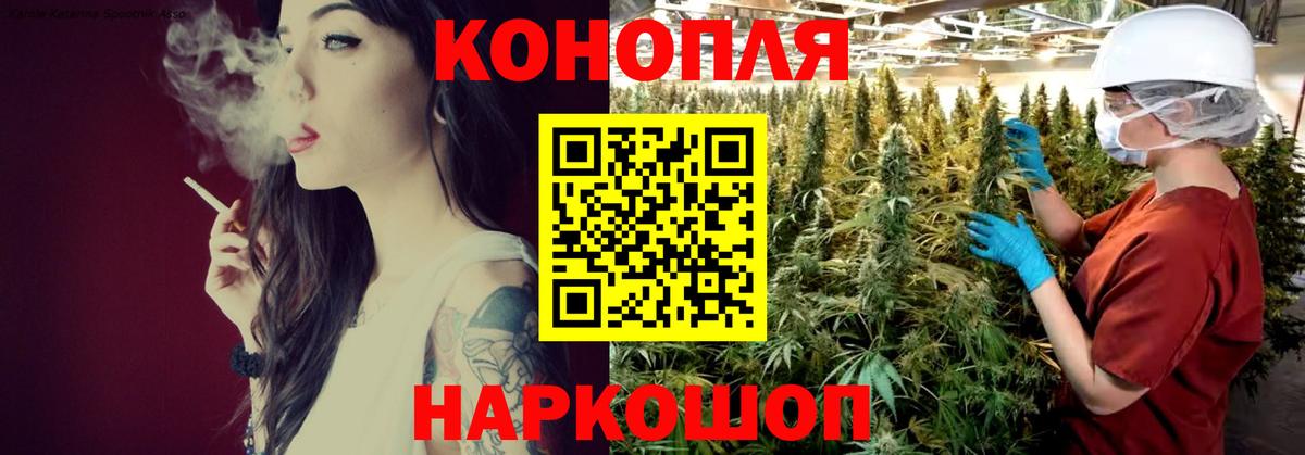 Канабис Bruce Banner  Канабис семена  Вход с VPN  МАРИХУАНА семена  Богородицк  Шишки марихуана марихуана 